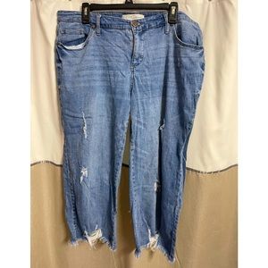 Cato capri distressed jeans, size 16W, worn twice, 21 inches inseam.
